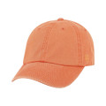 Adult Park Cap