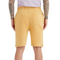 Lane Seven Unisex Vintage Shorts