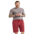 Lane Seven Unisex Vintage Shorts