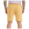 Lane Seven Unisex Vintage Shorts