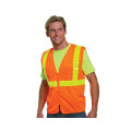ANSI Mesh Vest