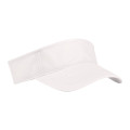 BUDGET SAVER NON-WOVEN VISOR