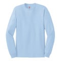 Hanes - Authentic 100% Cotton Long Sleeve T-Shirt.