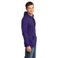 District The Concert Fleece Hoodie.