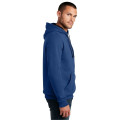 District The Concert Fleece Hoodie.