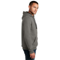 District The Concert Fleece Hoodie.