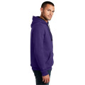 District The Concert Fleece Hoodie.