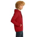 District The Concert Fleece Hoodie.