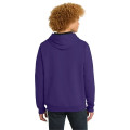 District The Concert Fleece Hoodie.