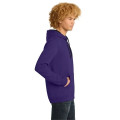 District The Concert Fleece Hoodie.