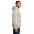 Gildan - Heavy Blend Hooded Sweatshirt.