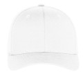 Port Authority Flexfit Cap.