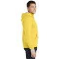 American Apparel Flex Fleece Zip Hoodie.
