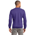 Port & Co Essential Fleece Crewneck Sweatshirt.