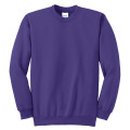 Port & Co Essential Fleece Crewneck Sweatshirt.