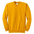 Port & Co Essential Fleece Crewneck Sweatshirt.