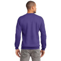 Port & Co Essential Fleece Crewneck Sweatshirt.