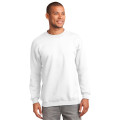 Port & Co Essential Fleece Crewneck Sweatshirt.