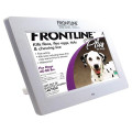 7" LCD Digital Photo Frame with Glossy Finish