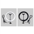 10" Selfie Ring Light With Tripod Stand & Cell Phone Holder