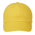 Price Buster Cap