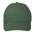 Price Buster Cap