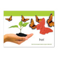 5x7 Postcard with Seed Paper Shape- Stock Designs