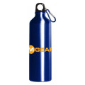 The 28 oz. Patagonia Water Bottle