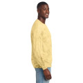Comfort Colors Color Blast Crewneck Sweatshirt