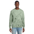 Comfort Colors Color Blast Crewneck Sweatshirt