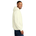 Gildan Softstyle Midweight Pullover Hooded Sweatshirt