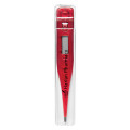 Digital Thermometer