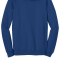 District® Young Men's The Concert Fleece™ Hoodie