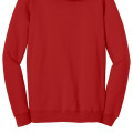 District® Young Men's The Concert Fleece™ Hoodie