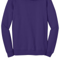 District® Young Men's The Concert Fleece™ Hoodie
