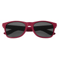 Matte Finish Malibu Sunglasses