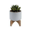 Saratoga Ceramic Flower Pot