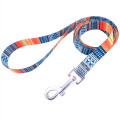 Dye-Sublimation Dog Leash with Adjustable Collar & Carabiner