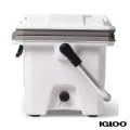 Igloo® IMX 24 Quart, 35-Can Cooler