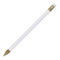 Aaccura Point Pen