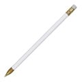 Aaccura Point Pen