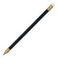 Aaccura Point Pen