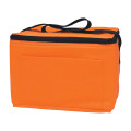 Non-Woven Six Pack Kooler Bag