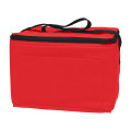 Non-Woven Six Pack Kooler Bag