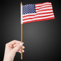 American Flags with Plastic Handles - 4" x 6"