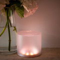 Mpowerd® Luci® Color Essence Solar Powered Lantern