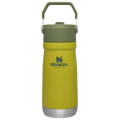 Stanley IceFlow Flip Straw Water Bottle 17oz