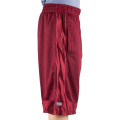 Adult Mesh Shorts