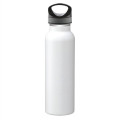 Safari 20 oz. Vacuum Insulated Water Bottle