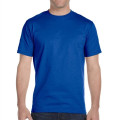 Gildan 6.1 oz 100% Preshrunk Cotton T-shirt